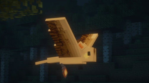 Mod image