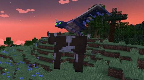Mod image