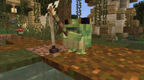 Mod image