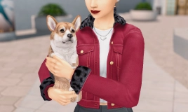 Sims mod image