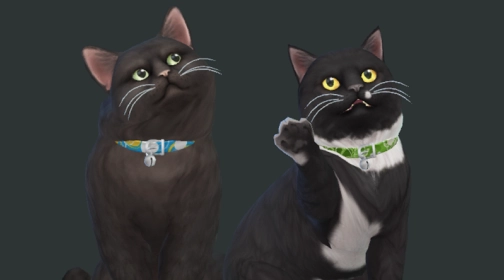 Sims mod image
