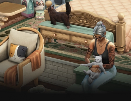 Sims mod image