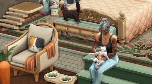 Sims mod image