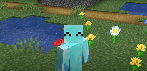 NexusBliss's about picture