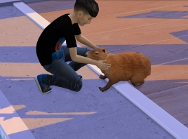 Sims mod image